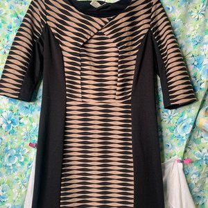 Emma & Michele Vintage Looking Dress SZ 14 Knee Length Dress